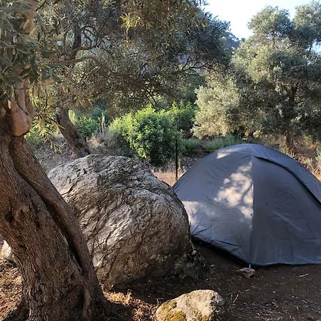 Medusa Kamp * Ekincik