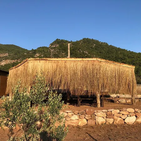 Medusa Kamp * Ekincik