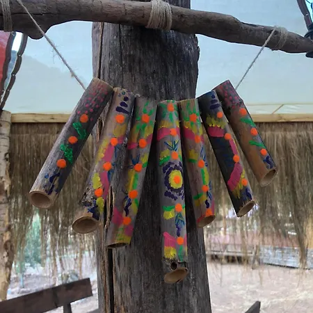 キャンプ場 Medusa Kamp Ekincik