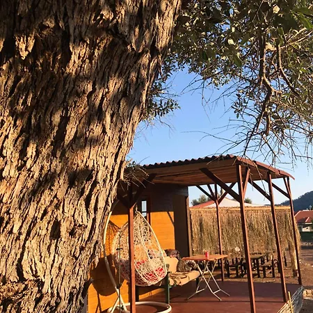 キャンプ場 Medusa Kamp