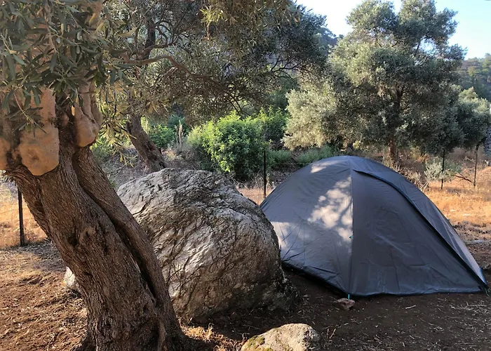 Medusa Kamp * Ekincik