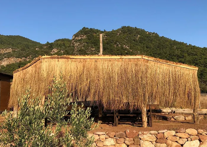 Medusa Kamp * Ekincik