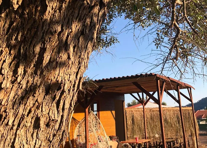 Campsite Medusa Kamp